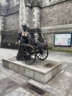 IMG_1798.jpeg IMG_1798.jpeg