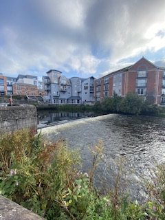 IMG_1835.jpeg IMG_1835.jpeg