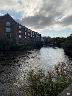 IMG_1836.jpeg IMG_1836.jpeg