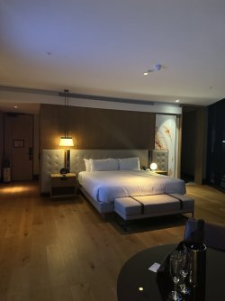 IMG_5606.jpeg IMG_5606.jpeg