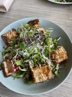 IMG_4203.JPG IMG_4203.JPG