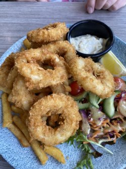 IMG_4202.JPG IMG_4202.JPG