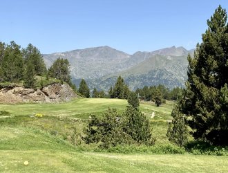 IMG_2324.jpeg IMG_2324.jpeg