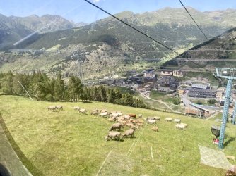 IMG_2328.jpeg IMG_2328.jpeg