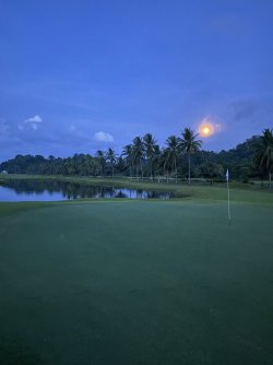 IMG_0937.jpeg IMG_0937.jpeg