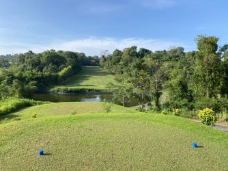 IMG_0939.jpeg IMG_0939.jpeg