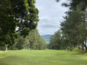 IMG_1020.jpeg IMG_1020.jpeg