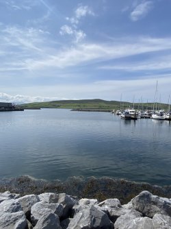 IMG_1854.jpeg IMG_1854.jpeg