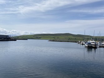 IMG_1853.jpeg IMG_1853.jpeg