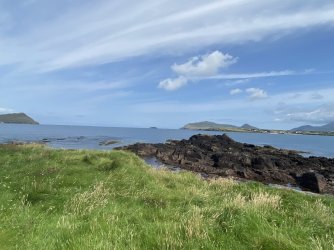 IMG_1865.jpeg IMG_1865.jpeg