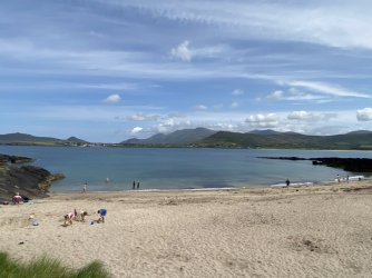 IMG_1874.jpeg IMG_1874.jpeg