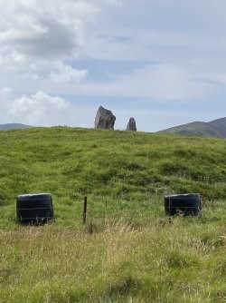 IMG_1872.jpeg IMG_1872.jpeg