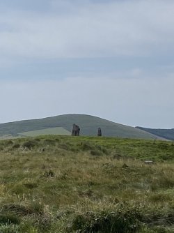 IMG_1871.jpeg IMG_1871.jpeg