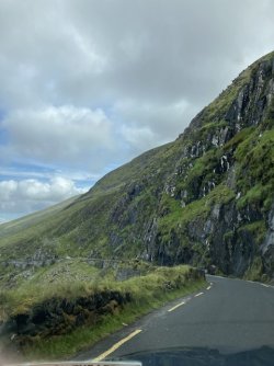 IMG_3438.jpeg IMG_3438.jpeg