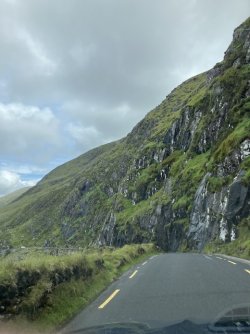 IMG_3437.jpeg IMG_3437.jpeg