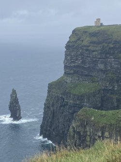 IMG_1907.jpeg IMG_1907.jpeg