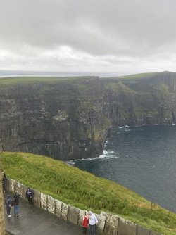 IMG_1891.jpeg IMG_1891.jpeg