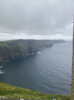 IMG_1890.jpeg IMG_1890.jpeg