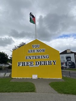 IMG_1936.jpeg IMG_1936.jpeg