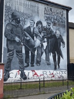 IMG_1937.jpeg IMG_1937.jpeg