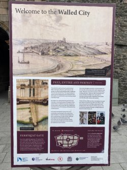 IMG_1943.jpeg IMG_1943.jpeg