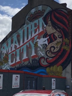 IMG_1945.jpeg IMG_1945.jpeg