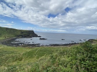 IMG_1949.jpeg IMG_1949.jpeg