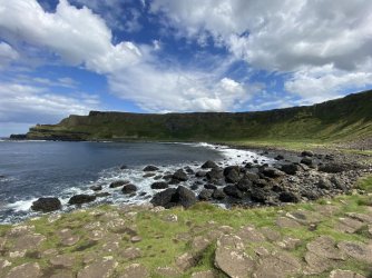 IMG_1958.jpeg IMG_1958.jpeg