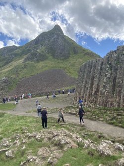 IMG_1969.jpeg IMG_1969.jpeg