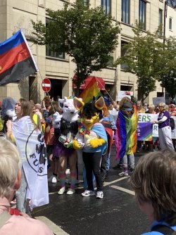 IMG_2013.jpeg IMG_2013.jpeg