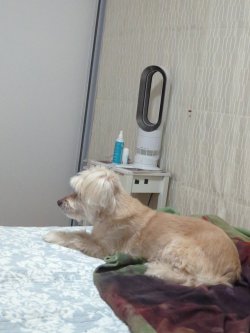 16920828091564630337758926953530.jpg 16920828091564630337758926953530.jpg