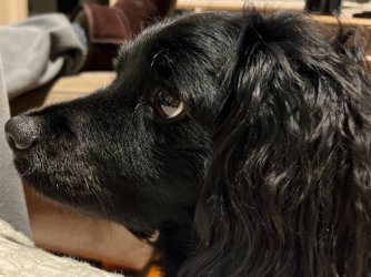 IMG_1180.jpeg IMG_1180.jpeg