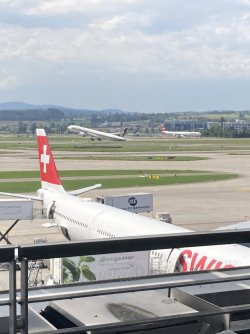 IMG_1433.jpeg IMG_1433.jpeg