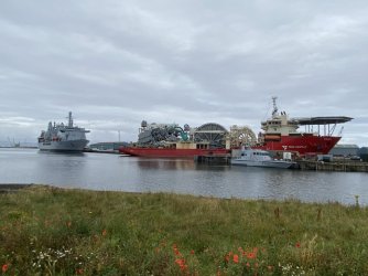 IMG_2049.jpeg IMG_2049.jpeg