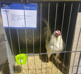 IMG_1976.jpeg IMG_1976.jpeg