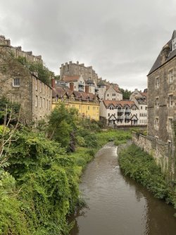 IMG_2083.jpeg IMG_2083.jpeg