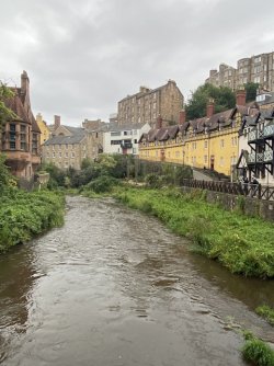 IMG_2088.jpeg IMG_2088.jpeg