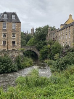 IMG_2090.jpeg IMG_2090.jpeg