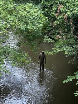 IMG_2092.jpeg IMG_2092.jpeg