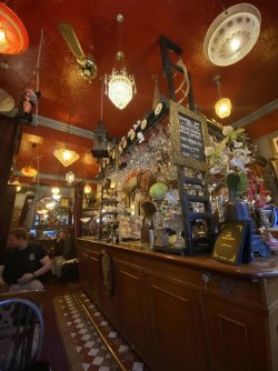 IMG_2098.jpeg IMG_2098.jpeg