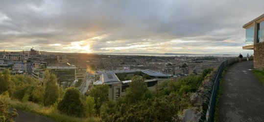 IMG_2113.jpeg IMG_2113.jpeg