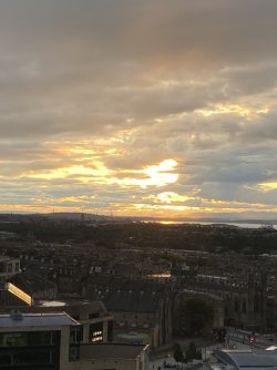 IMG_2115.jpeg IMG_2115.jpeg