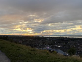 IMG_2116.jpeg IMG_2116.jpeg