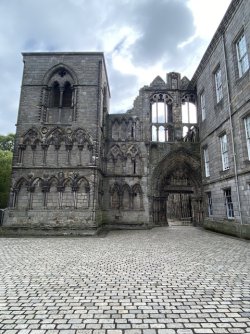 IMG_2127.jpeg IMG_2127.jpeg