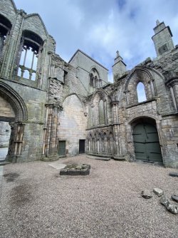 IMG_2129.jpeg IMG_2129.jpeg