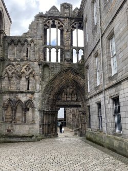 IMG_2128.jpeg IMG_2128.jpeg