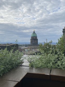 IMG_2156.jpeg IMG_2156.jpeg