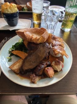 IMG_2169.jpeg IMG_2169.jpeg