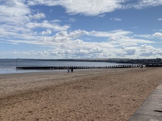 IMG_2172.jpeg IMG_2172.jpeg