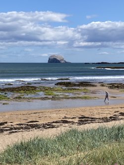 IMG_2177.jpeg IMG_2177.jpeg